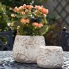 Bath & Beauty | Vases and Planters | Rustic Flower Pots - Large