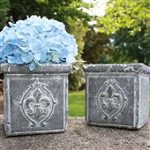 Fleur-de-Lis Herb Pots - 2 Medium